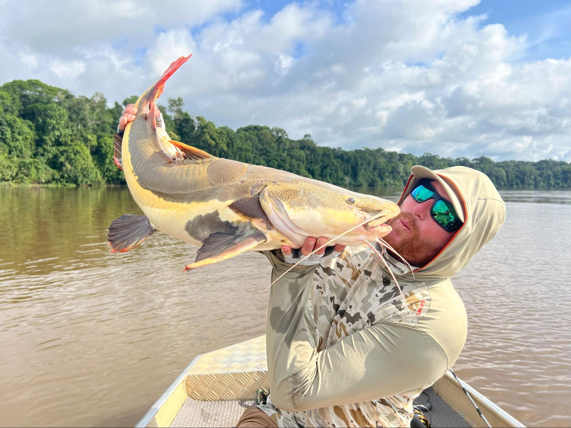Giant Catfish Amazon