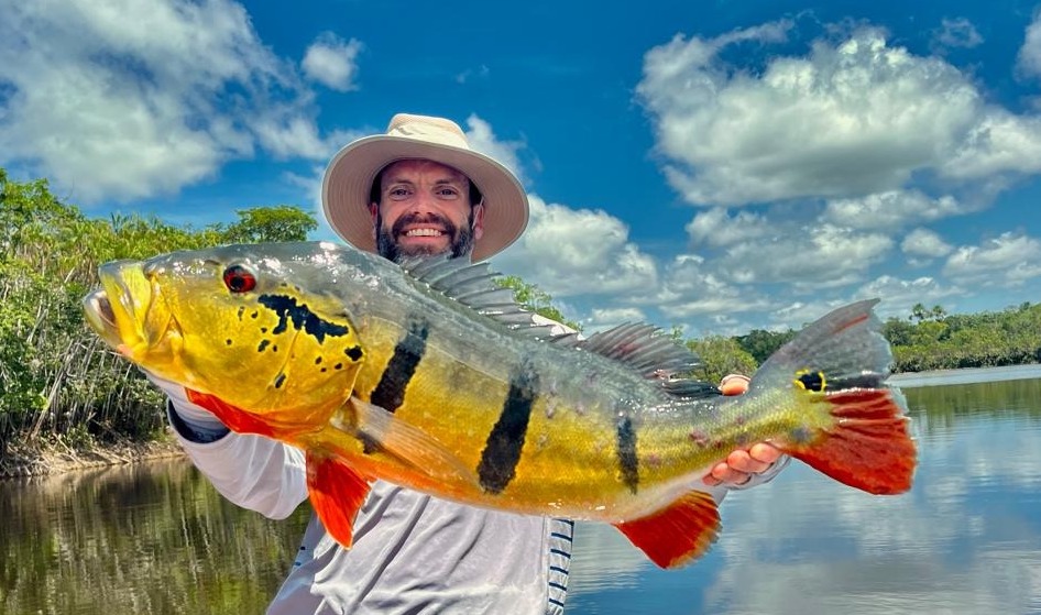 how to catch peacock bass