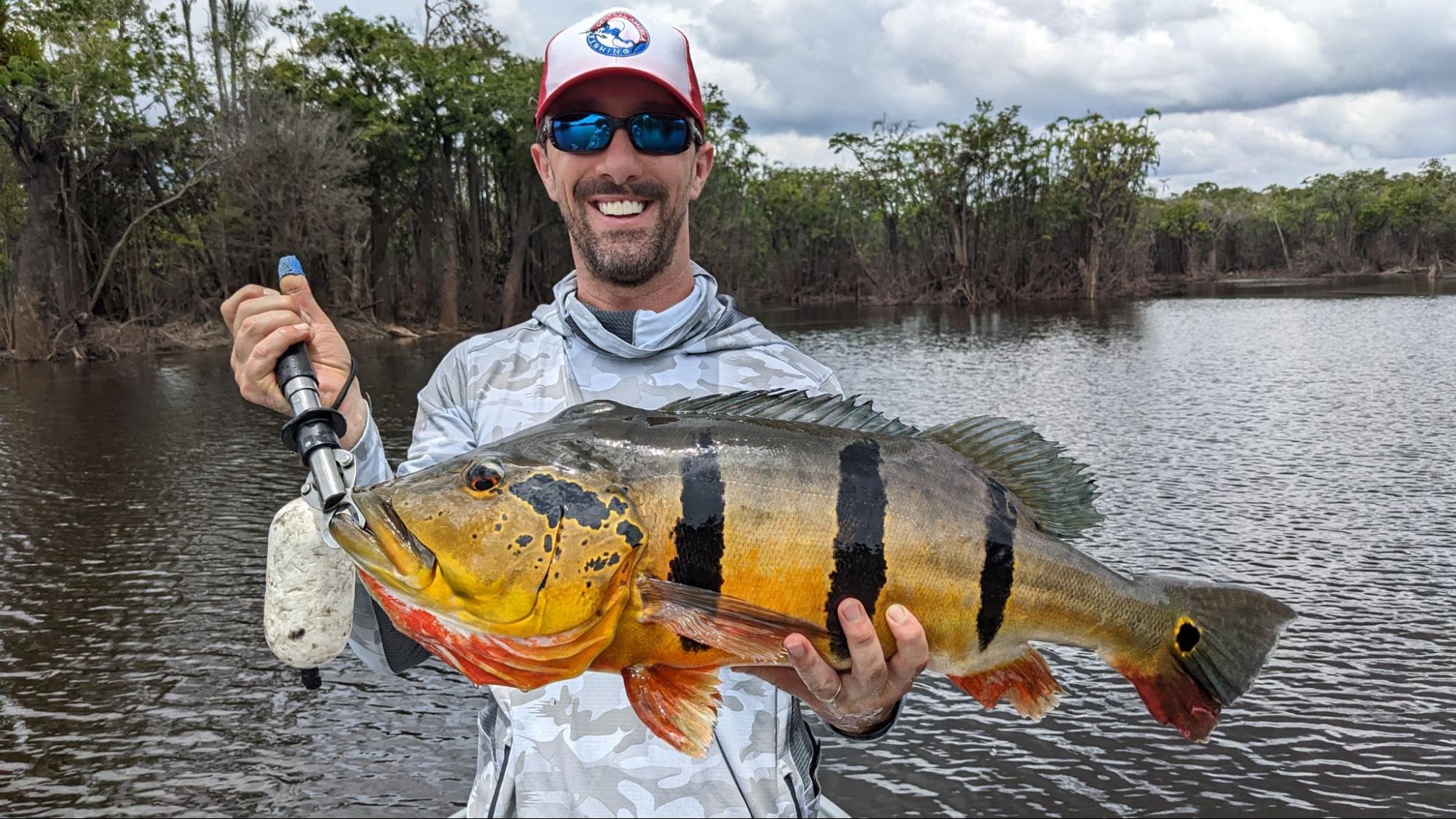 landing a peacock bass