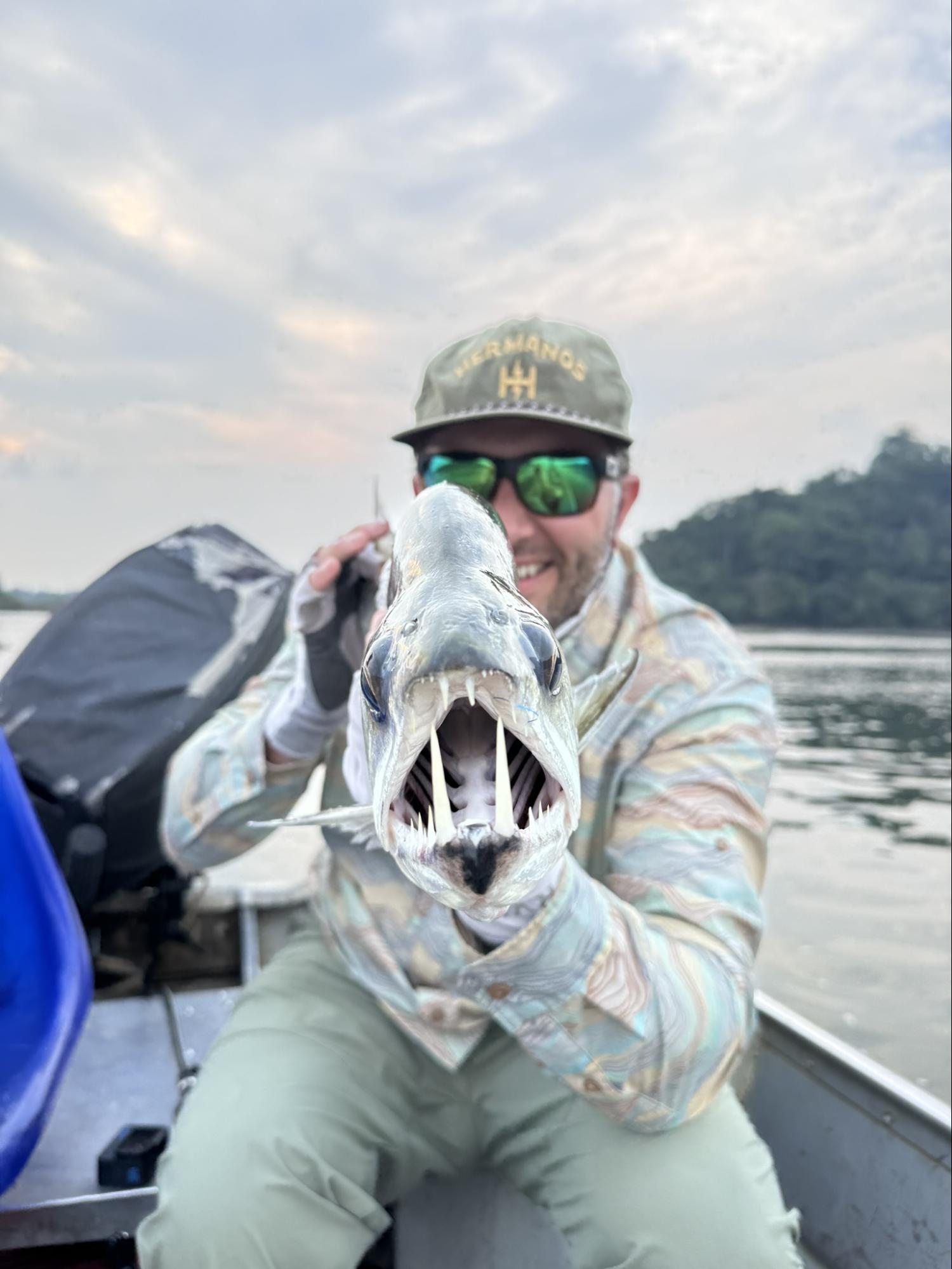 payara fangs