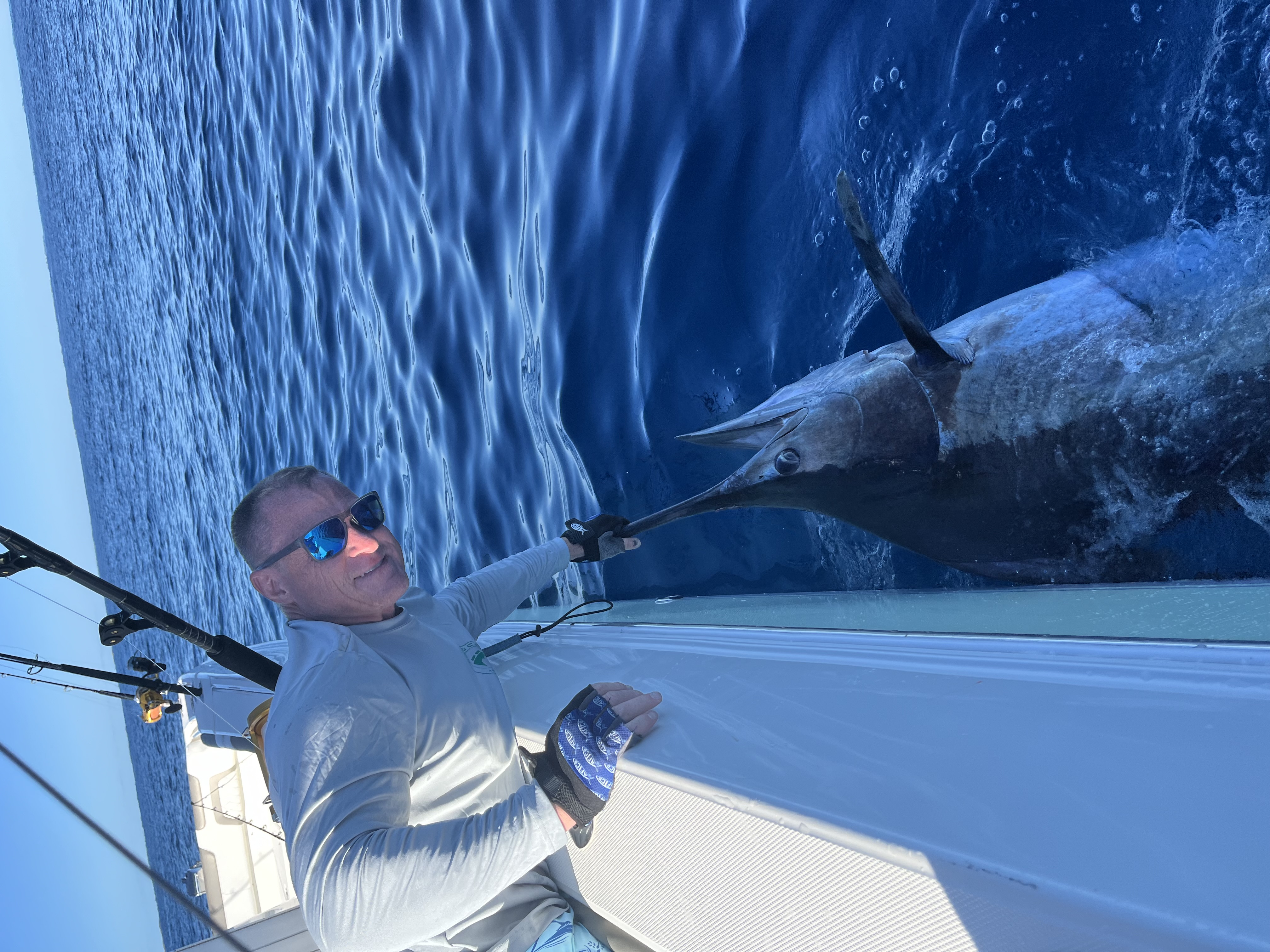 blue marlin blue marlin