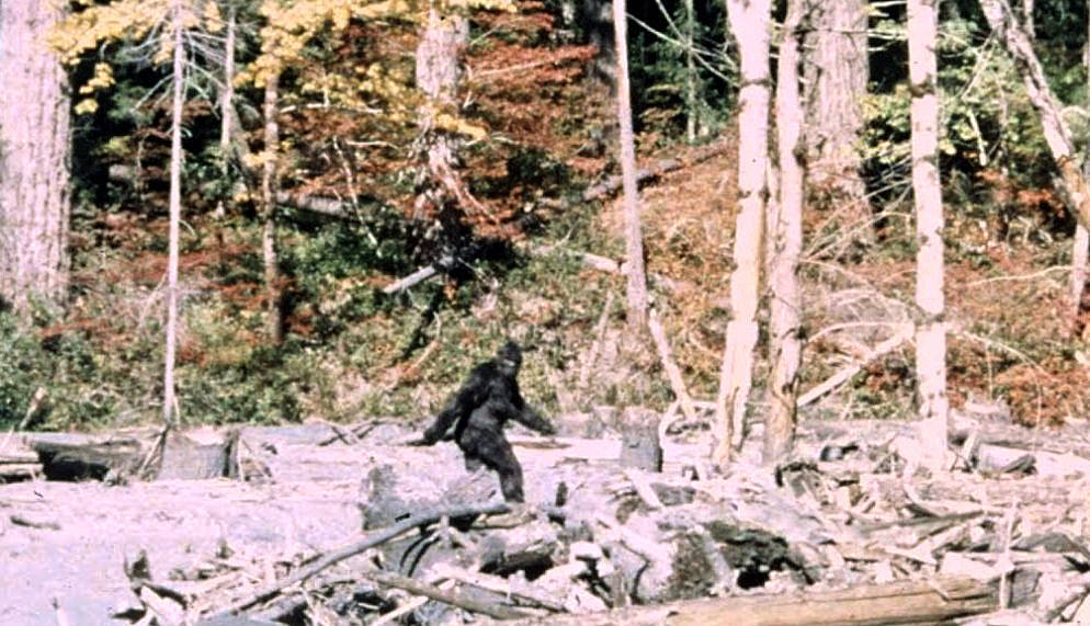The iconic Frame 352 from the Patterson-Gimlin film.