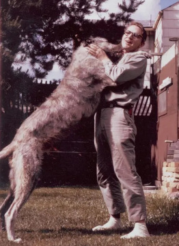 Dr. Grover Krantz analyzing primate skulls.