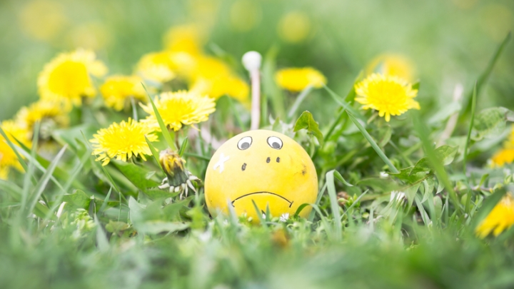 Something in the Air: Spring Allergies