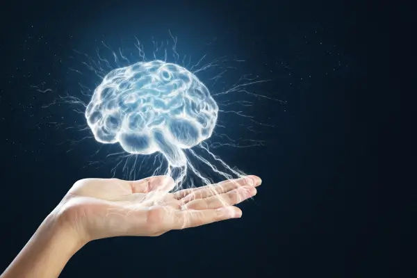 Brain Improvement Chiropractic Care in Novato Brain Improvement Chiropractic Care in Novato