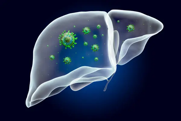 Immune system Chiropractic Clinic in Novato Immune system Chiropractic Clinic in Novato