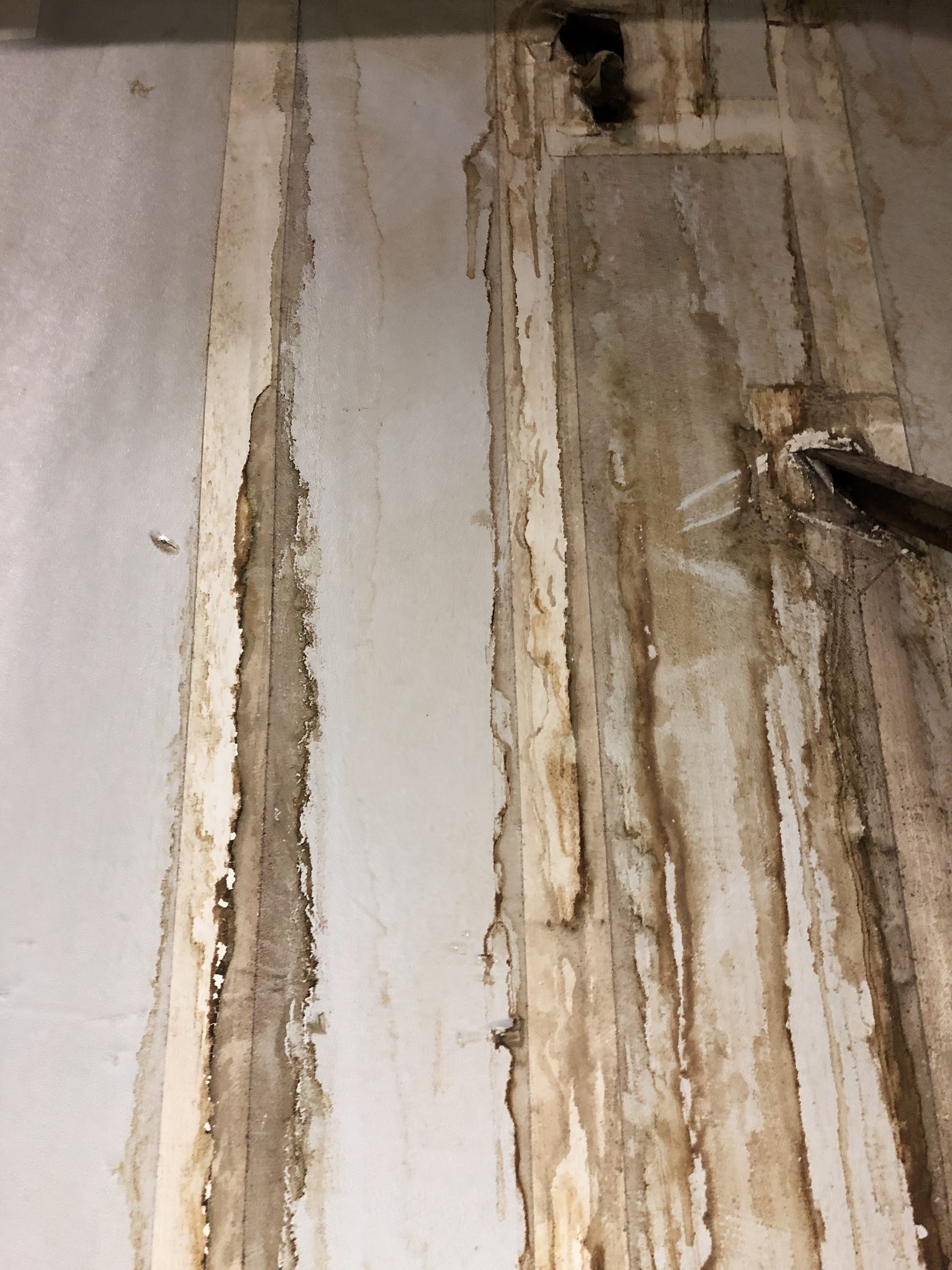 Before Concrete Pour