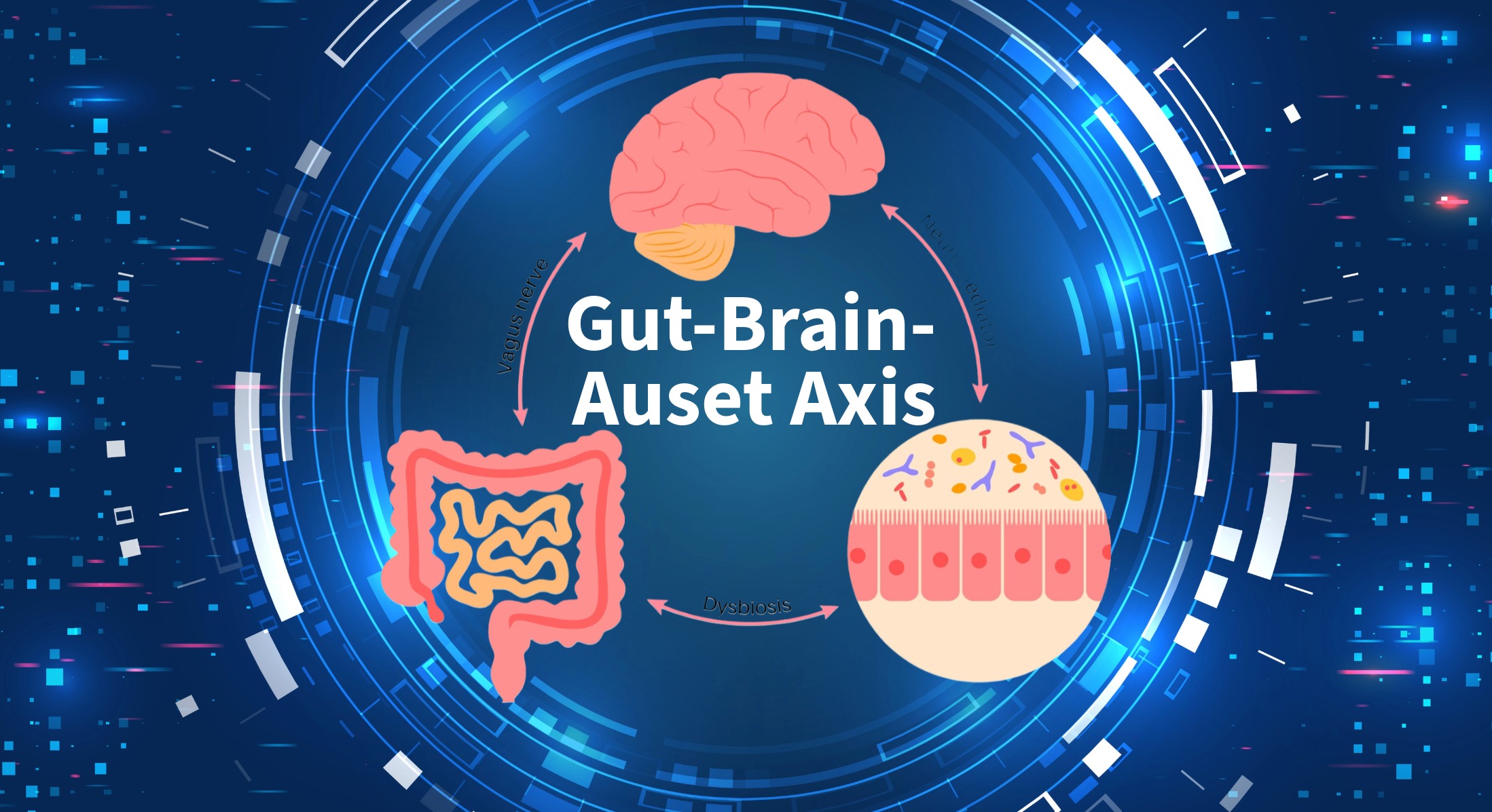 Gut-Brain-Auset Axis Image