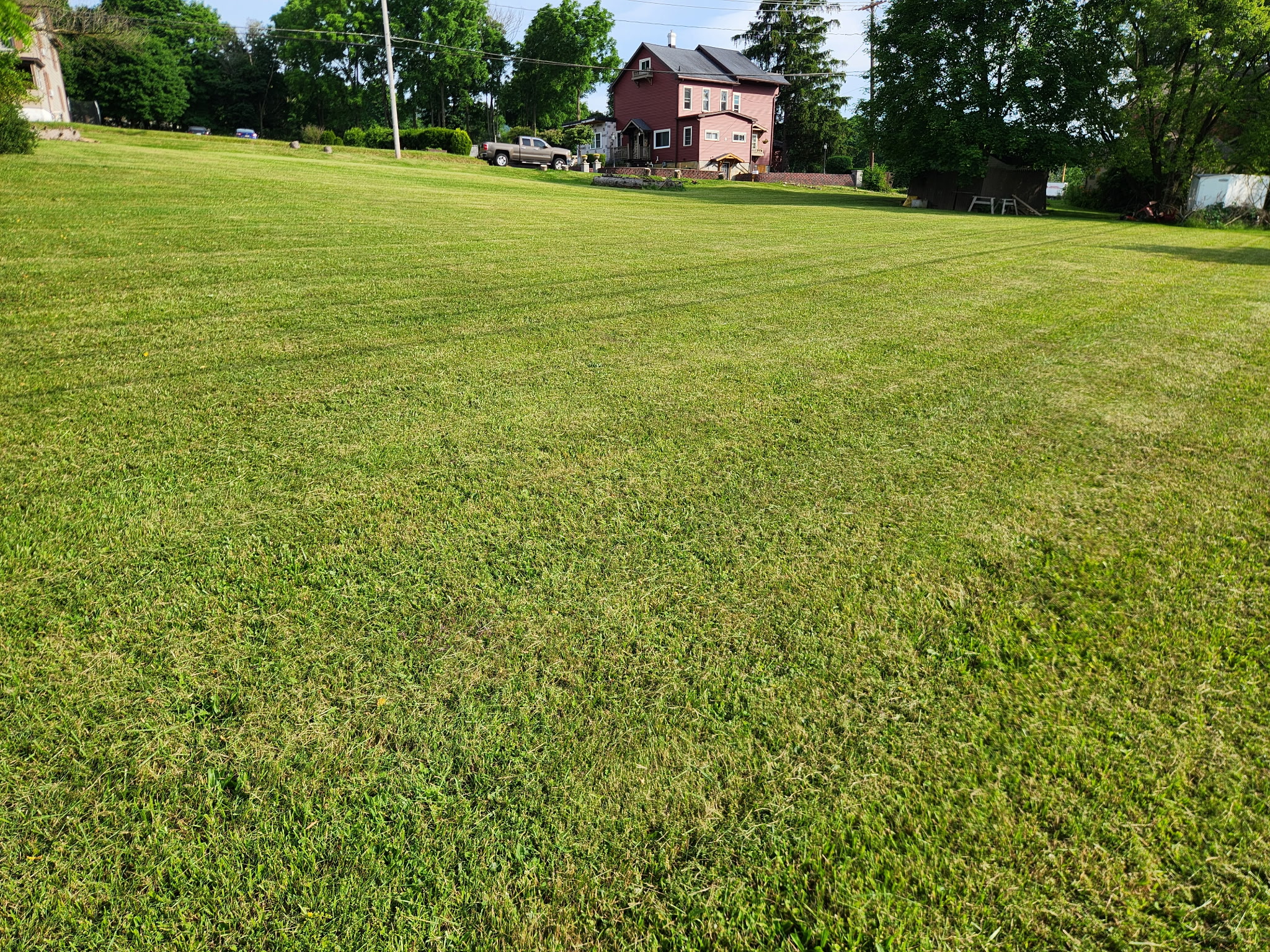A lush green Blair county fresh cut lawn.