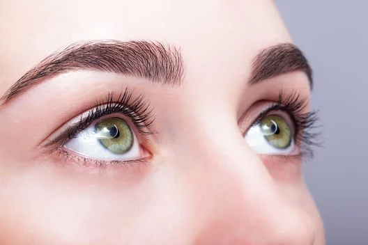Brow Trends to Look Out For in the Upcoming Years