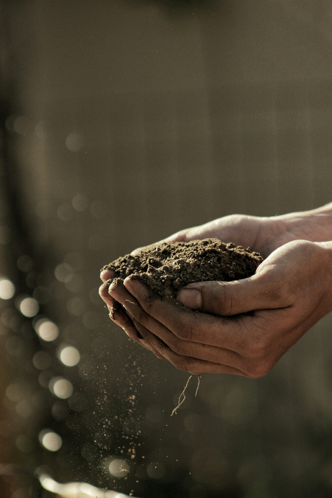 farmer's hands in dirt farmer's hands in dirt