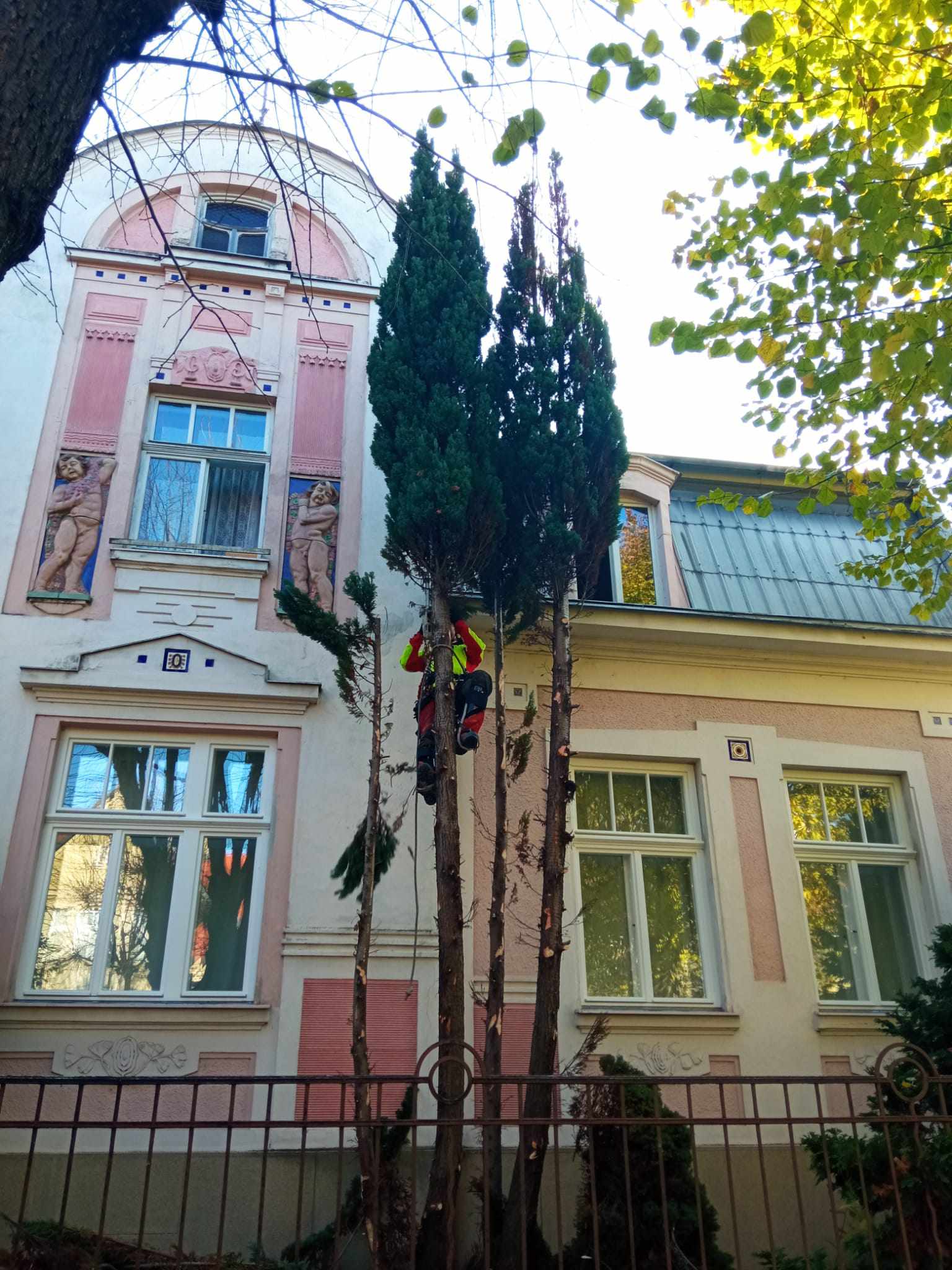 Realizace rizikové kácení 3