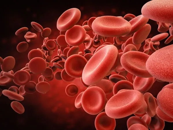 Blood work