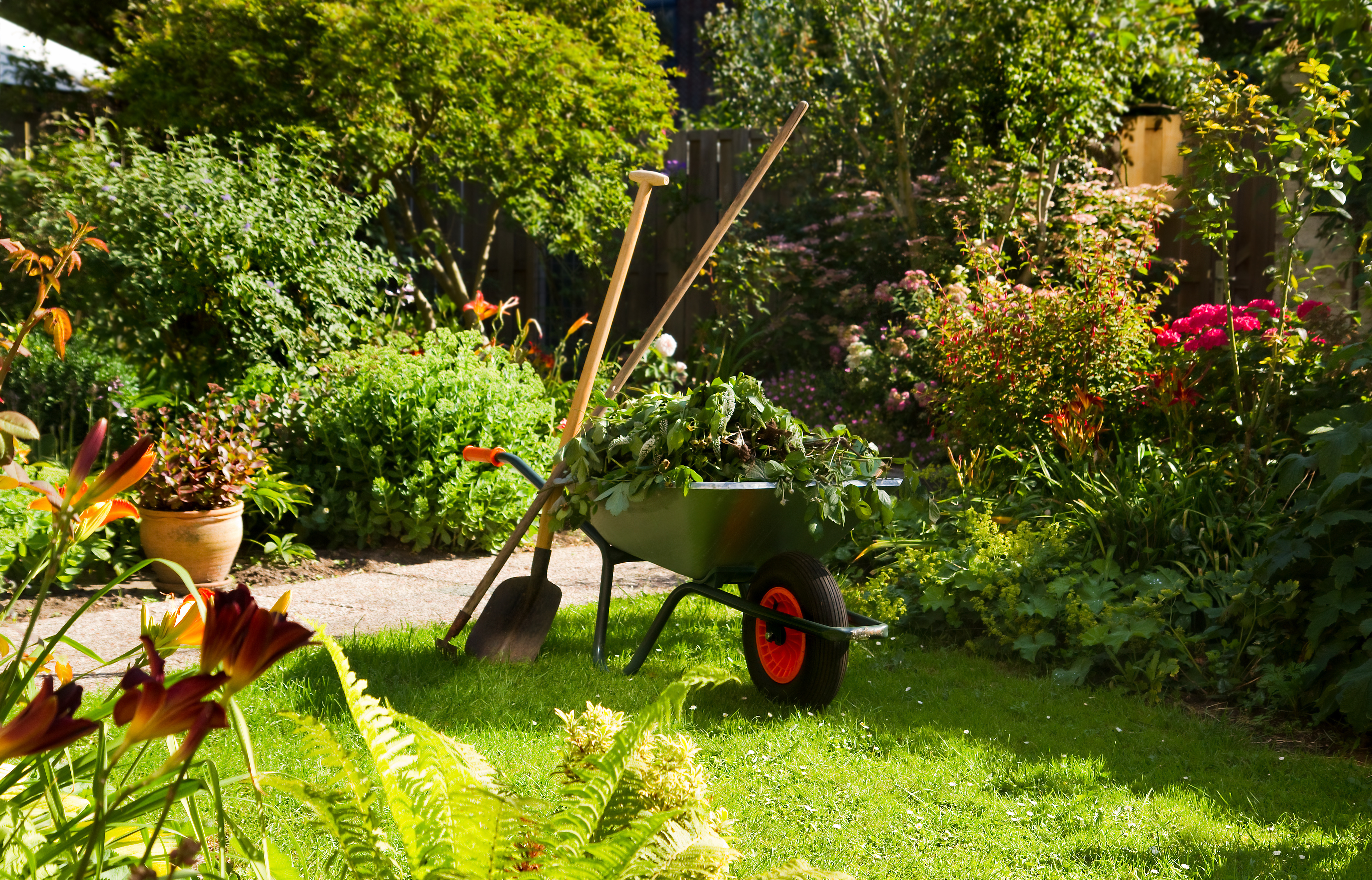 Landscaping Services Landscaping Services