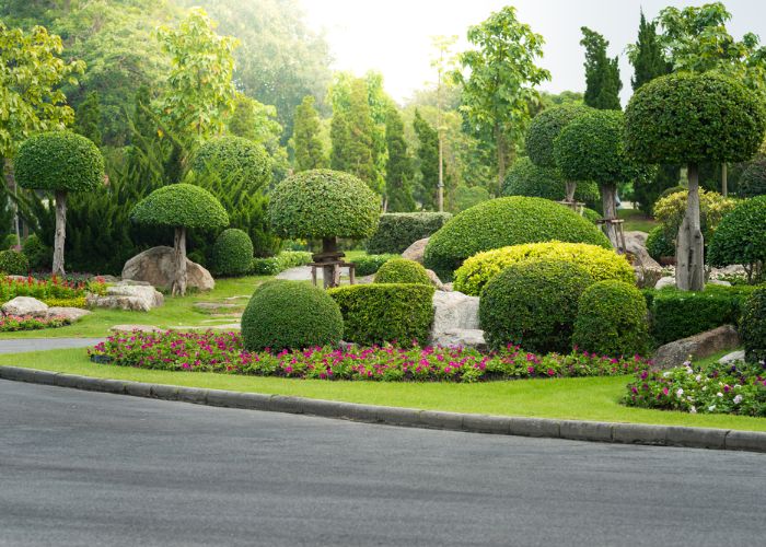 Landscaping Services