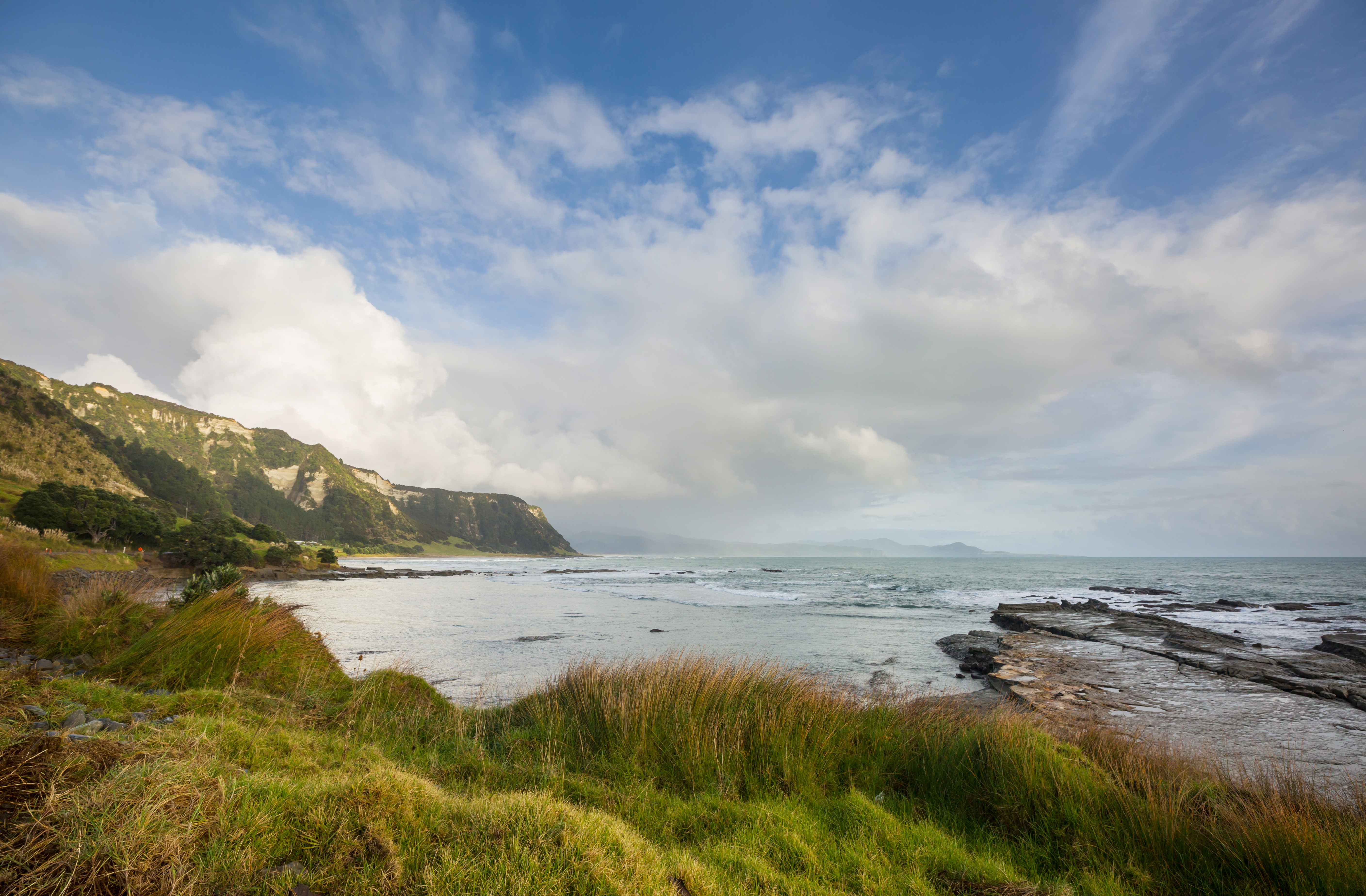 Best Courses to study in New Zealand Best Courses to study in New Zealand