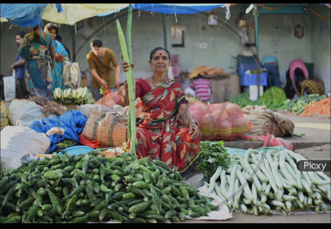 vegetable vendor vegetable vendor