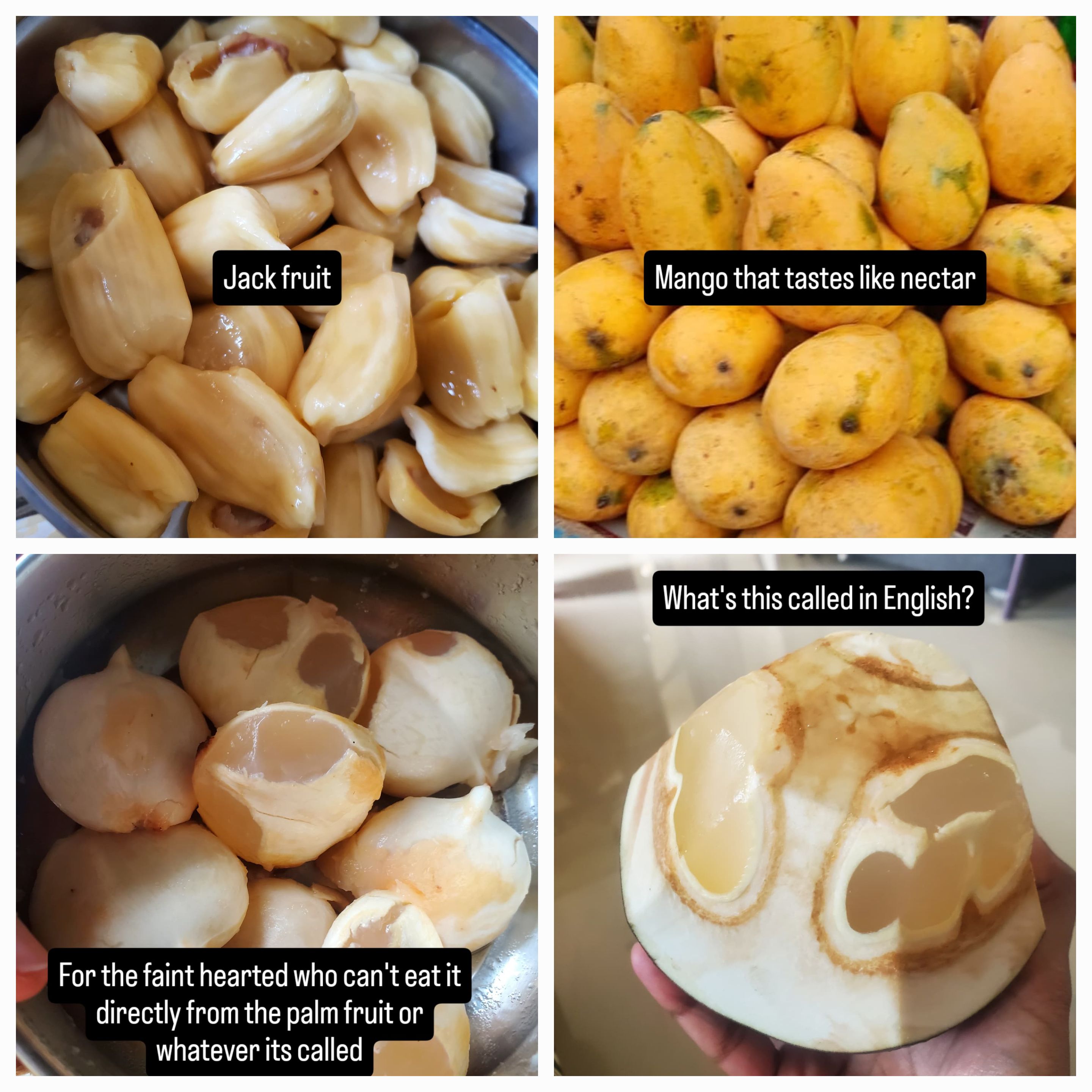 Jack fruit, mango,palm