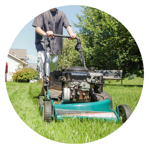 Lawn and Garden Tidy