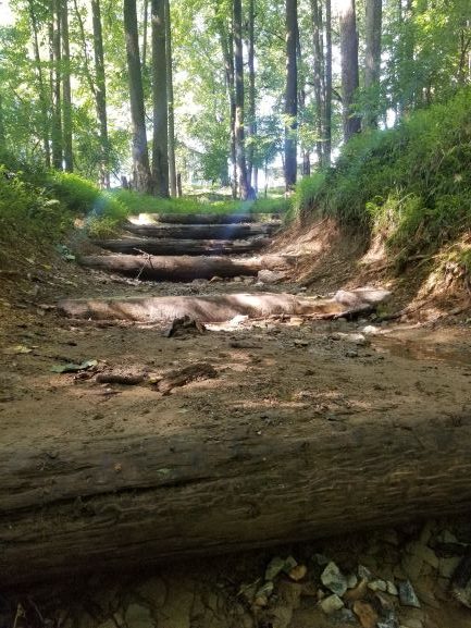 Muddy Branch Greenway Trail