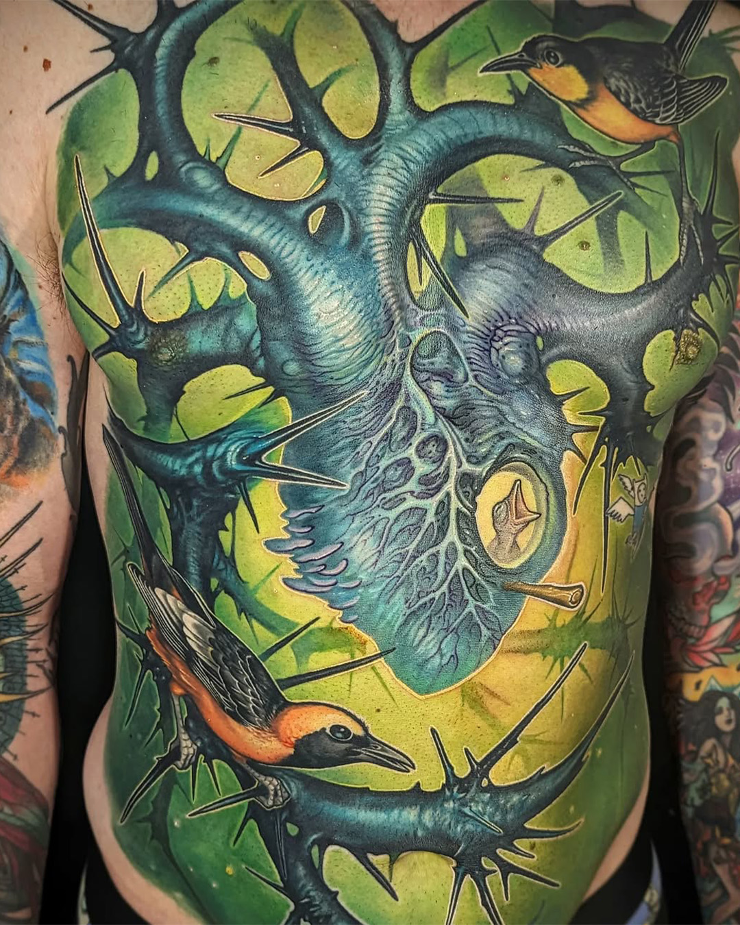 Heart bird nest by matt driscoll Heart bird nest by matt driscoll
