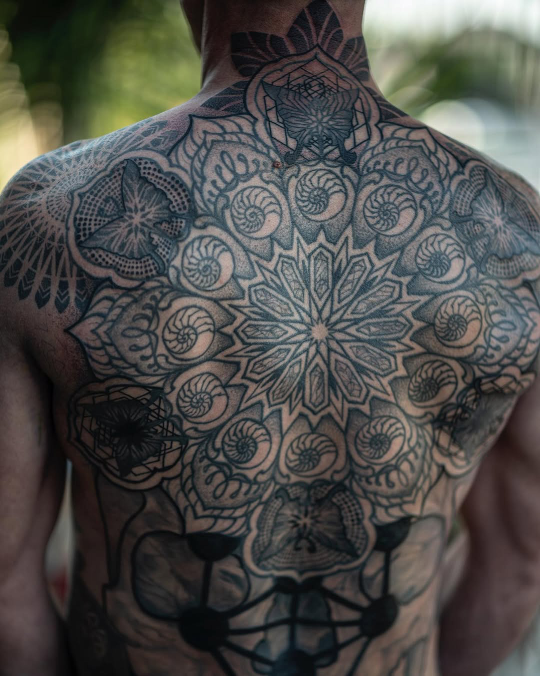 butterfly geometric black and grey backpiece butterfly geometric black and grey backpiece