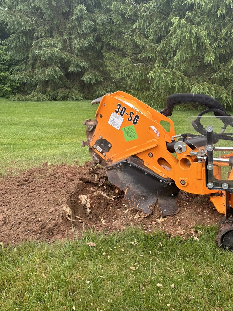 Tree Care Benefits