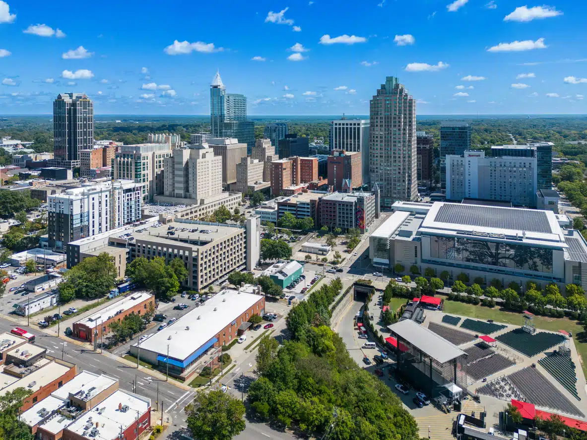 Understanding the 2025 Raleigh Market Landscape