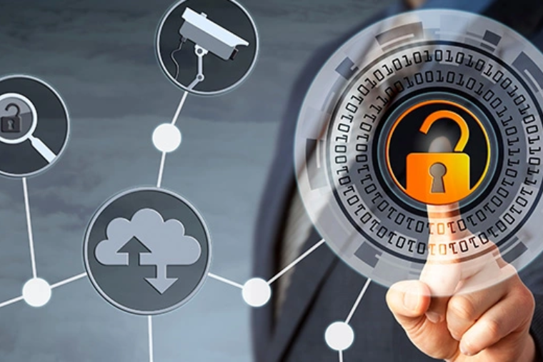 Managed Services