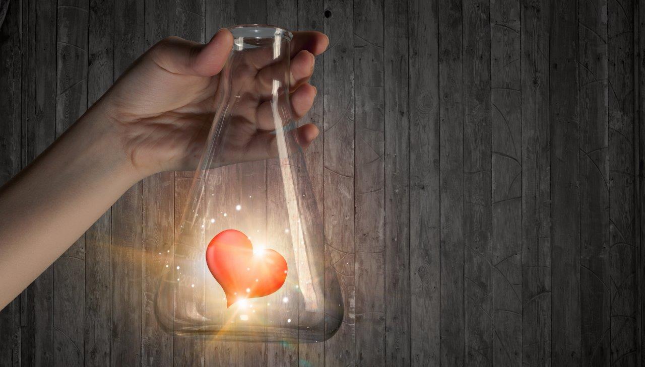 Formation Libido et Orgasmes au Féminin