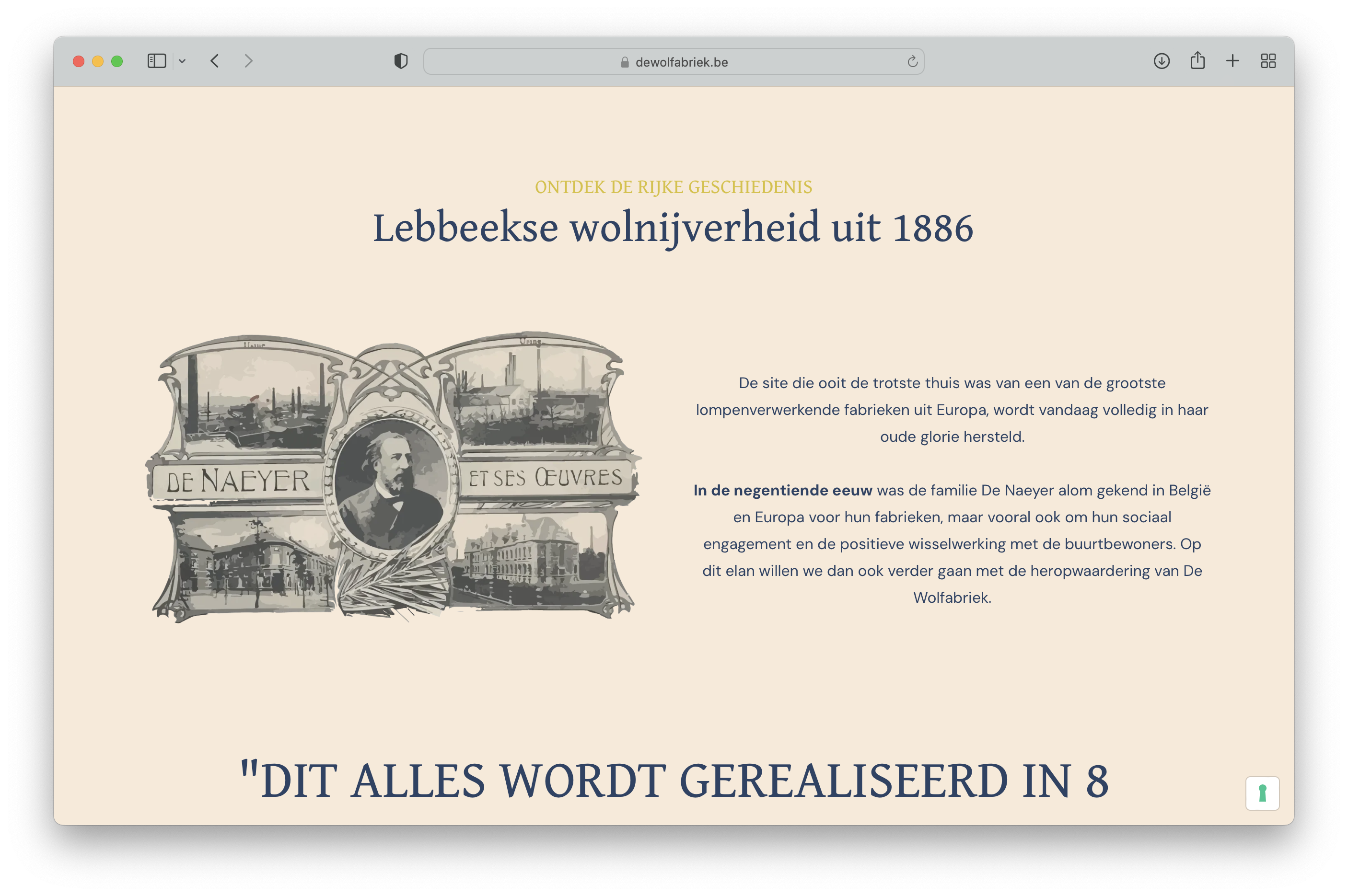 Wolfabriek Geschiedenis