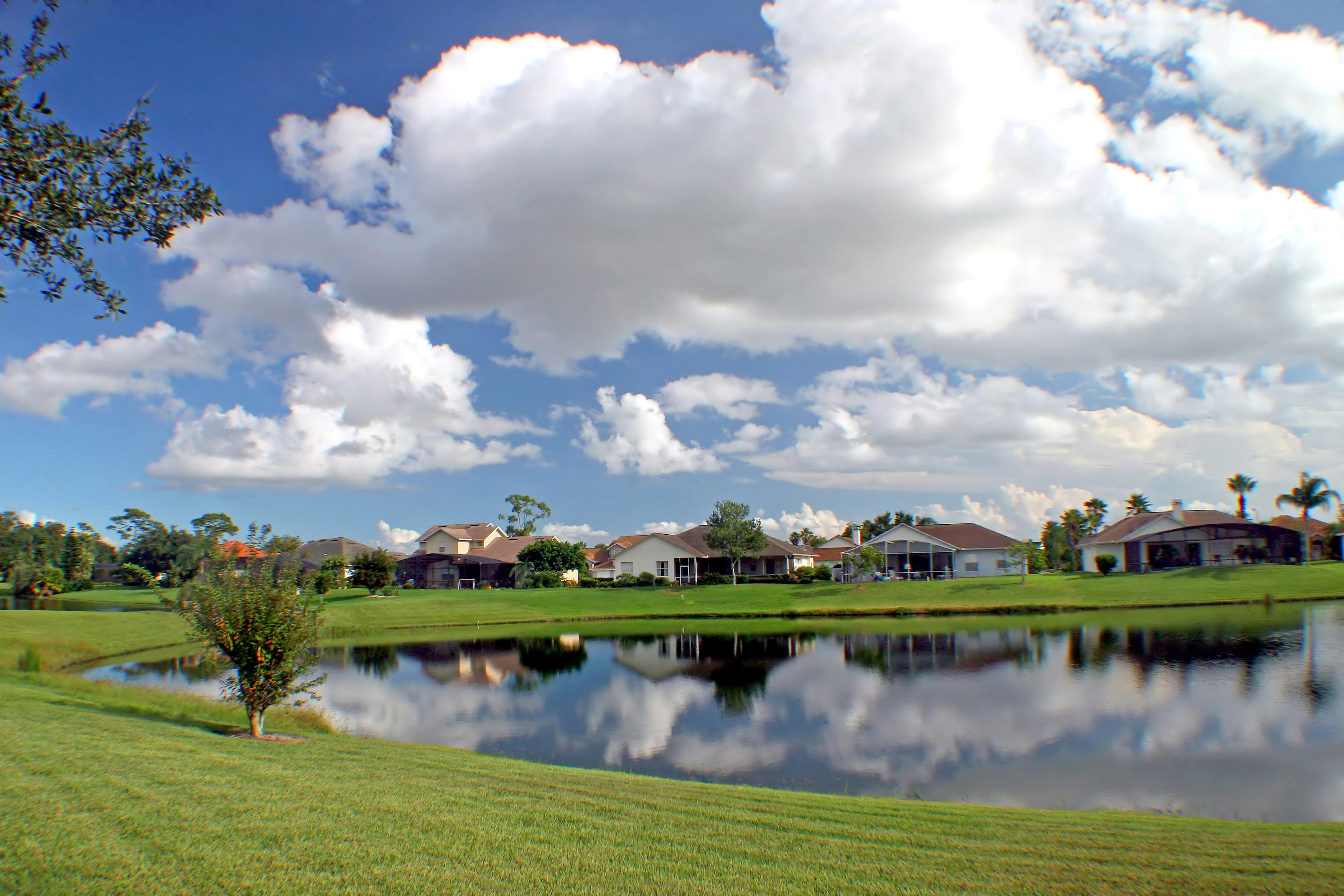 Palm-lined streets and blue skies in Florida