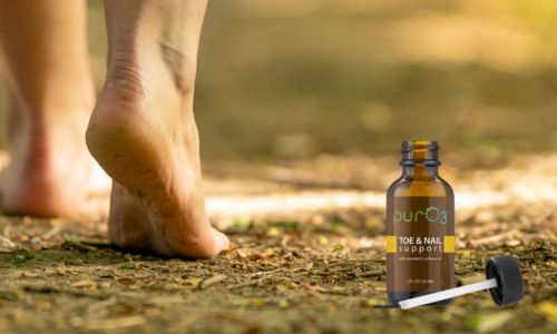 kalknagels kalknagels