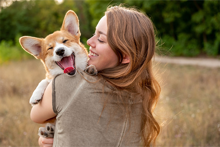 4 REASONS WHY YOU SHOULD CRATE YOUR DOG