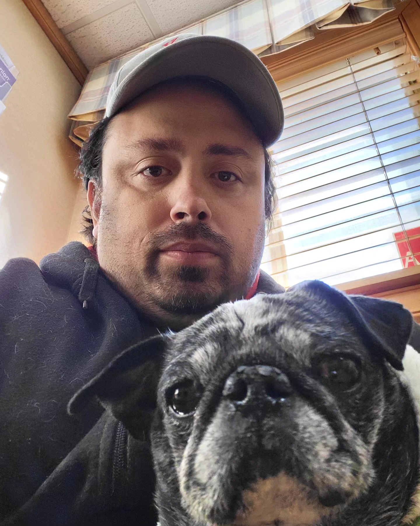 Felix Rosado is a certified professional dog trainer and behaviorist in Poughkeepsie, NY, helping families build stronger bonds with their dogs through proven, humane training. His approach focuses on real obedience for real family dogs — no tricks or harsh methods, just lasting results. His vision is simple "Helping Families, One Paw at a Time"