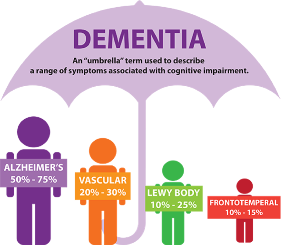 What are the main types of dementia, and how do they differ?