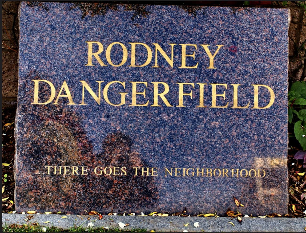 rodney dangerfield epitaph