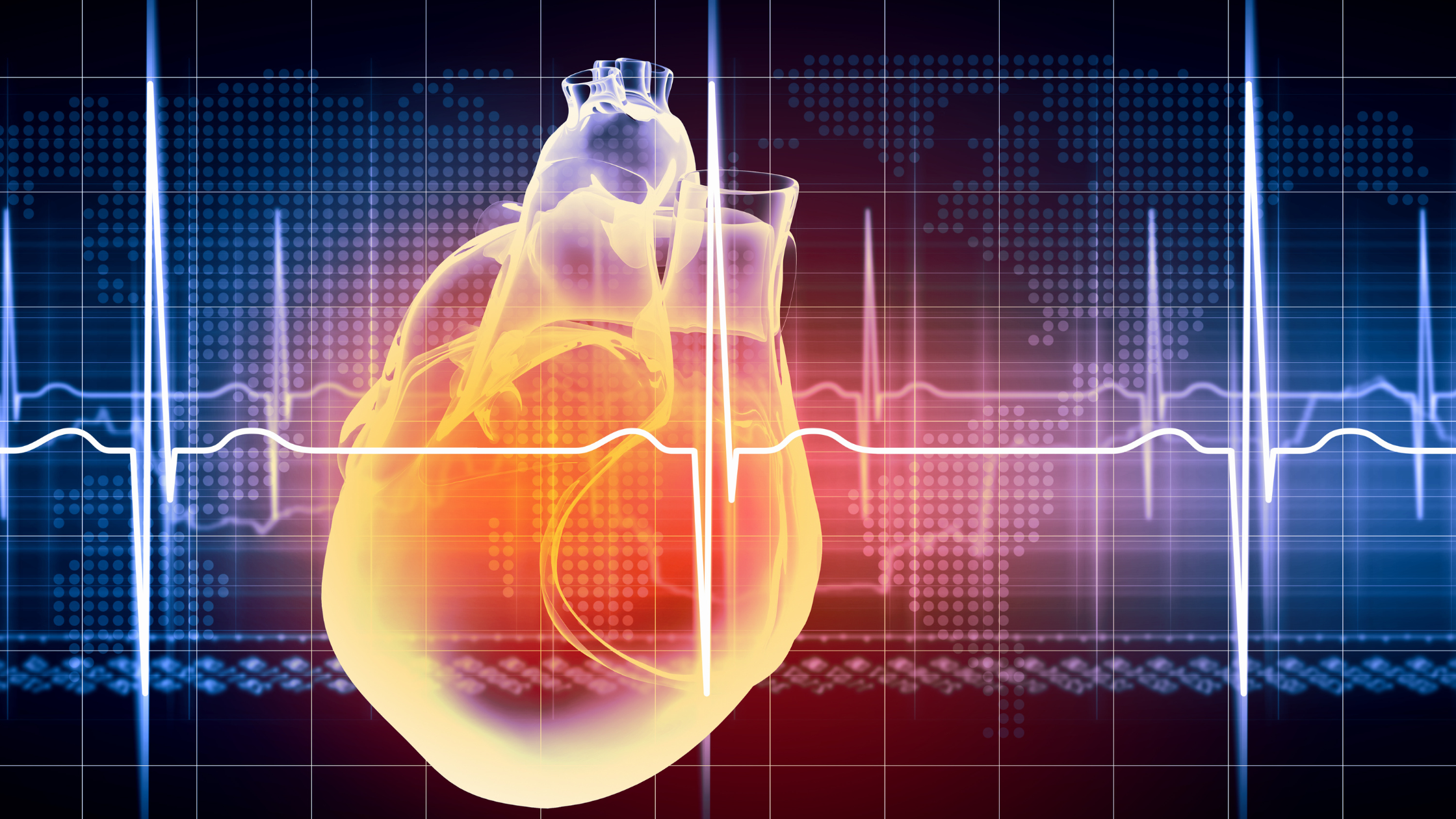 virtual image of human heart with cardiogram 