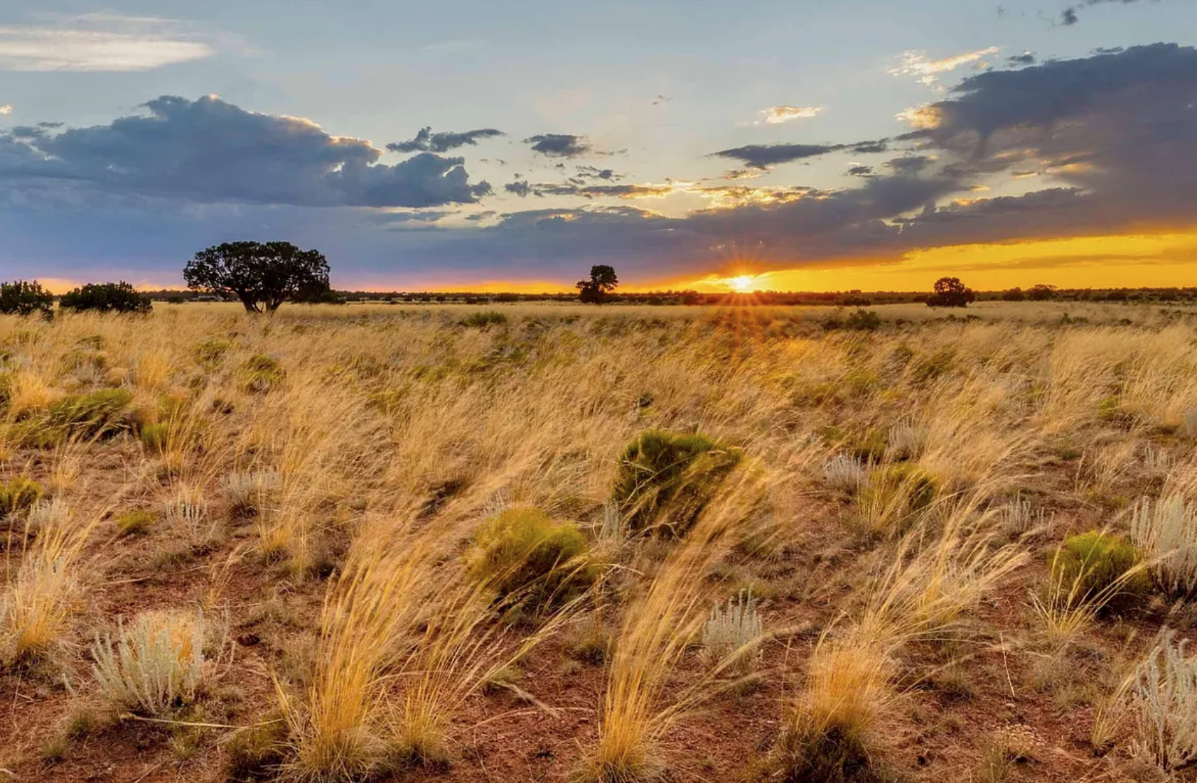 Selling Your Vacant Land Selling Your Vacant Land