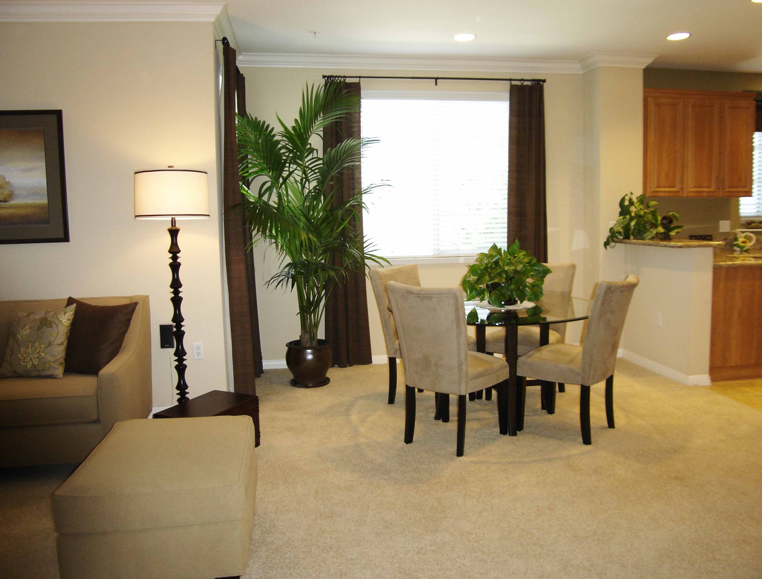 Rental Decor