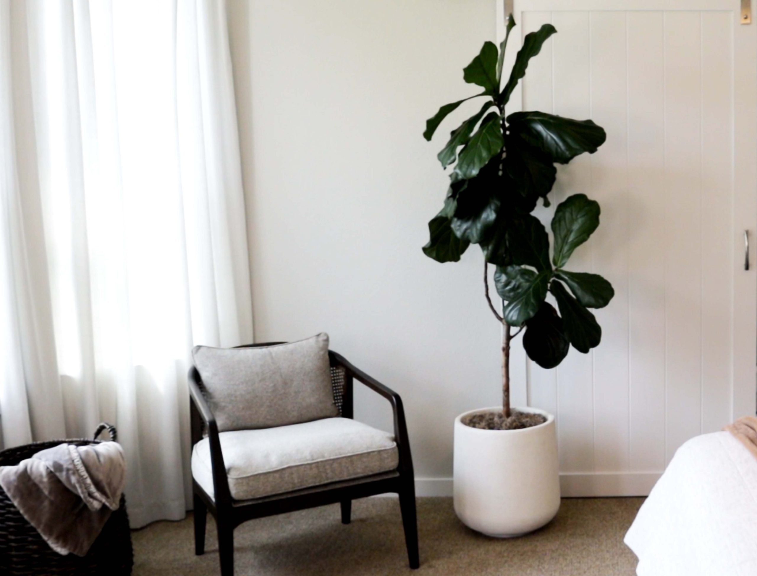 interior decorating with plants corner tall plants