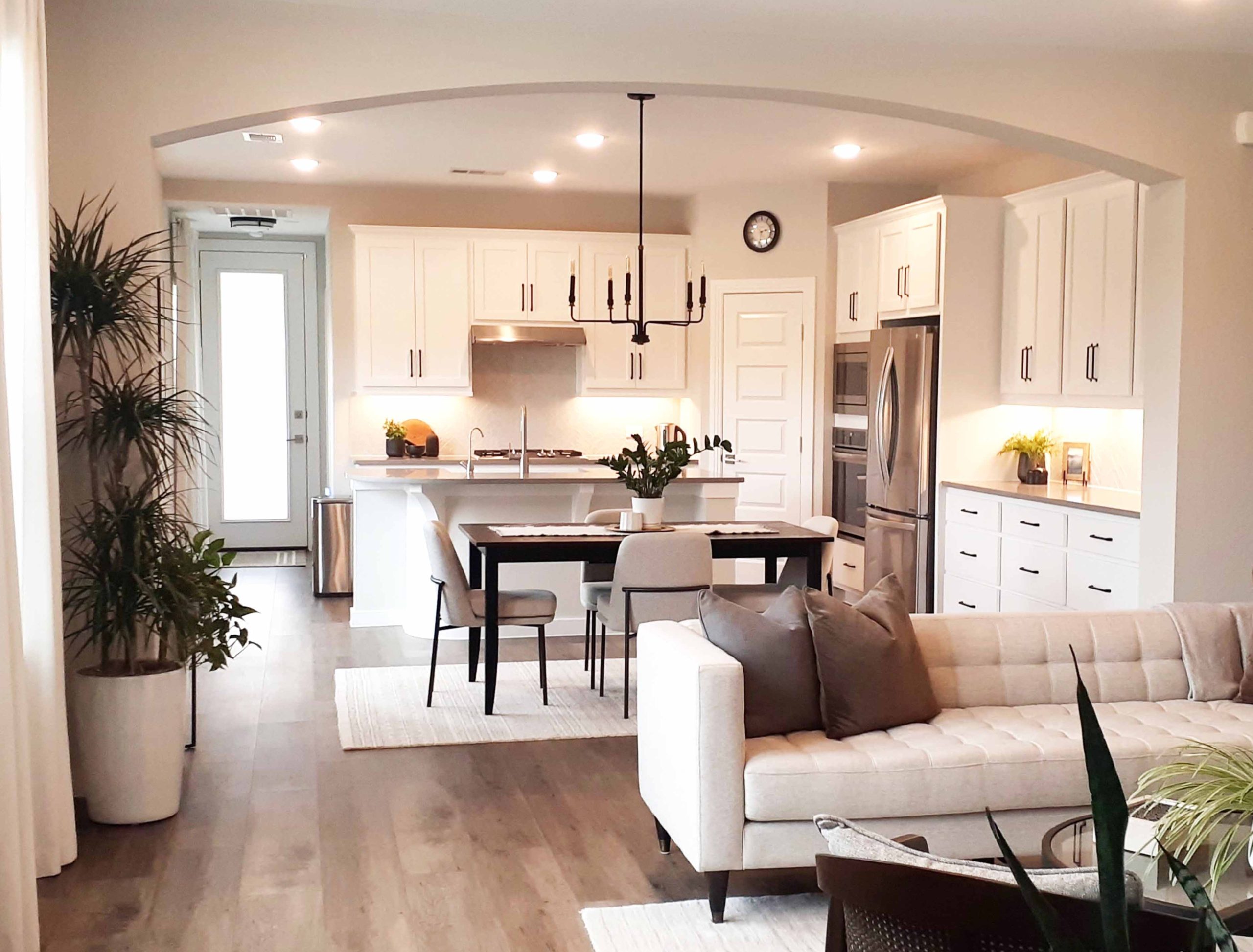 interior decorating with plants visual separation