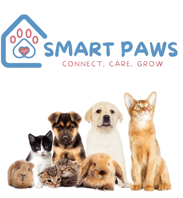 Happy group of pets including puppies, kittens, and small animals representing satisfied veterinary clients