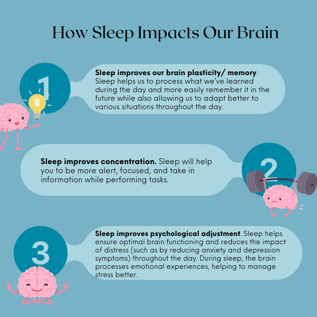 How Sleep Impacts Our Brain 1. Sleep improves our brain plasticity/ memory. Sleep helps us to process what we’ve learned during the day and more easily remember it in the future while also allowing us to adapt better to various situations throughout the day. 2. Sleep improves concentration. Sleep will help you to be more alert, focused, and take in information while performing tasks. 3. Sleep improves psychological adjustment. Sleep helps ensure optimal brain functioning and reduces the impact of distress (such as by reducing anxiety and depression symptoms) throughout the day. During sleep, the brain processes emotional experiences, helping to manage stress better. How Sleep Impacts Our Brain 1. Sleep improves our brain plasticity/ memory. Sleep helps us to process what we’ve learned during the day and more easily remember it in the future while also allowing us to adapt better to various situations throughout the day. 2. Sleep improves concentration. Sleep will help you to be more alert, focused, and take in information while performing tasks. 3. Sleep improves psychological adjustment. Sleep helps ensure optimal brain functioning and reduces the impact of distress (such as by reducing anxiety and depression symptoms) throughout the day. During sleep, the brain processes emotional experiences, helping to manage stress better.