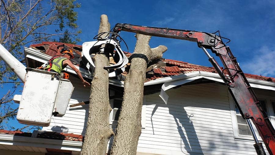 Community Outreach and Disaster Relief