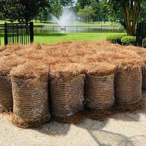 Pine Needles  Cleanstraw - Mulch Depot