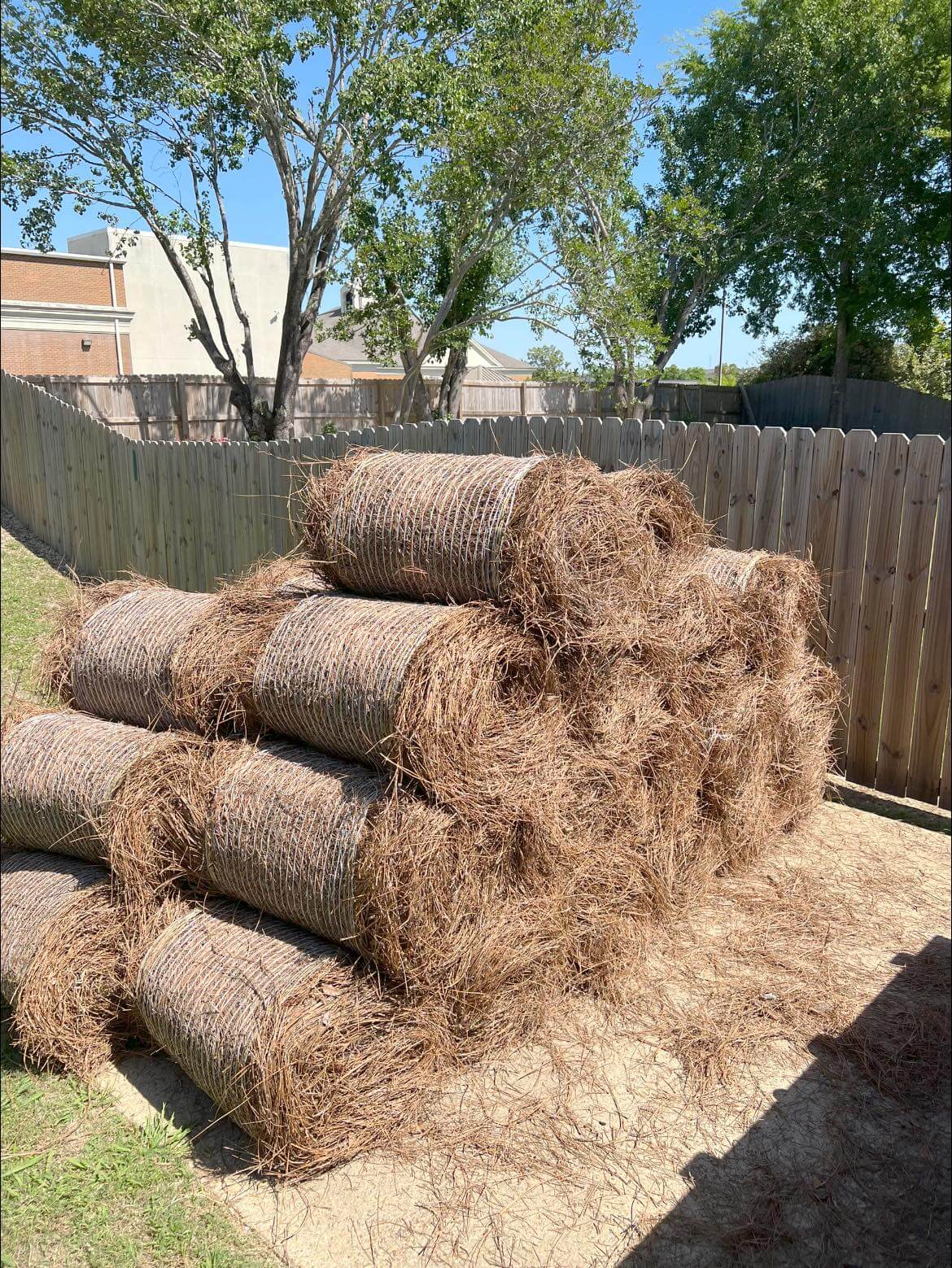 Pine Straw - Long Needle Rolls