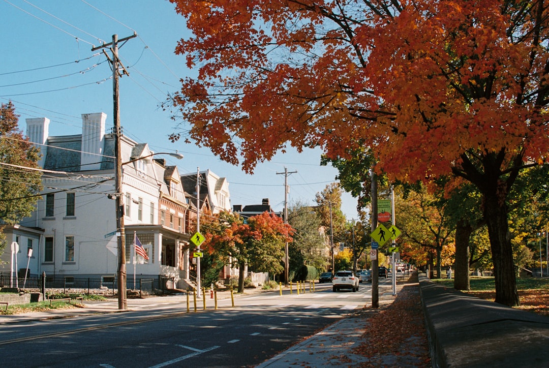 Healesville