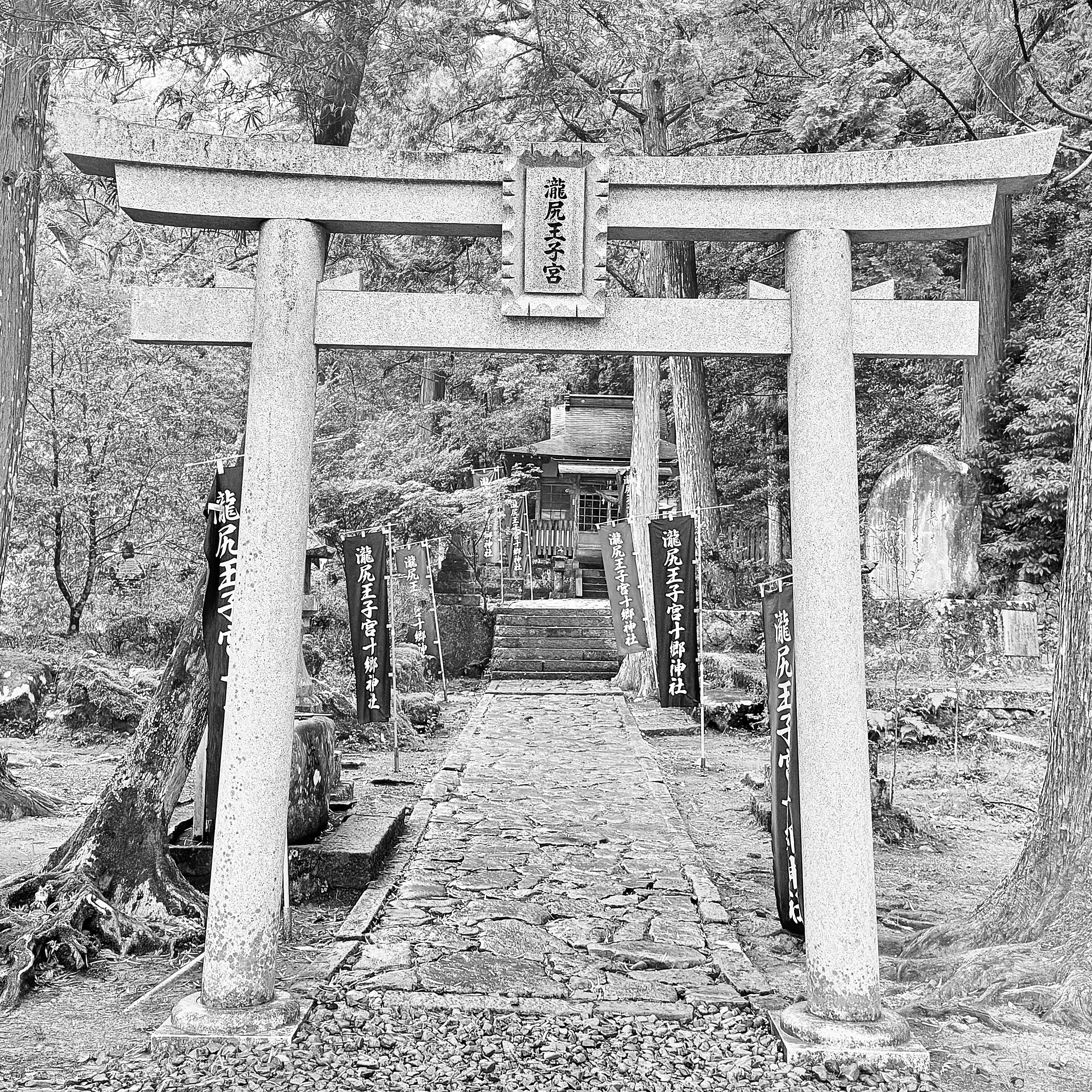 The Start of the Kumano Kodo The Start of the Kumano Kodo