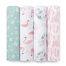 collection-image